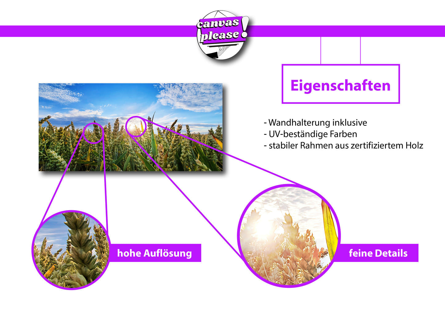 das Kornfeld